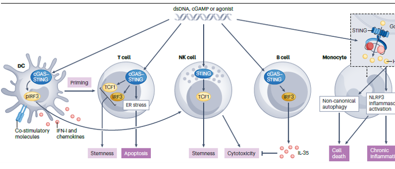 Review article in Nature Reviews Cancer